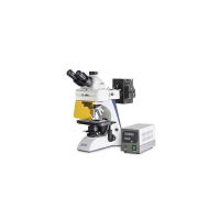 Микроскоп тринокулярный, 1000-кратное увеличение Kern OBN 147