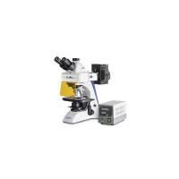 Микроскоп тринокулярный, 1000-кратное увеличение Kern OBN 148
